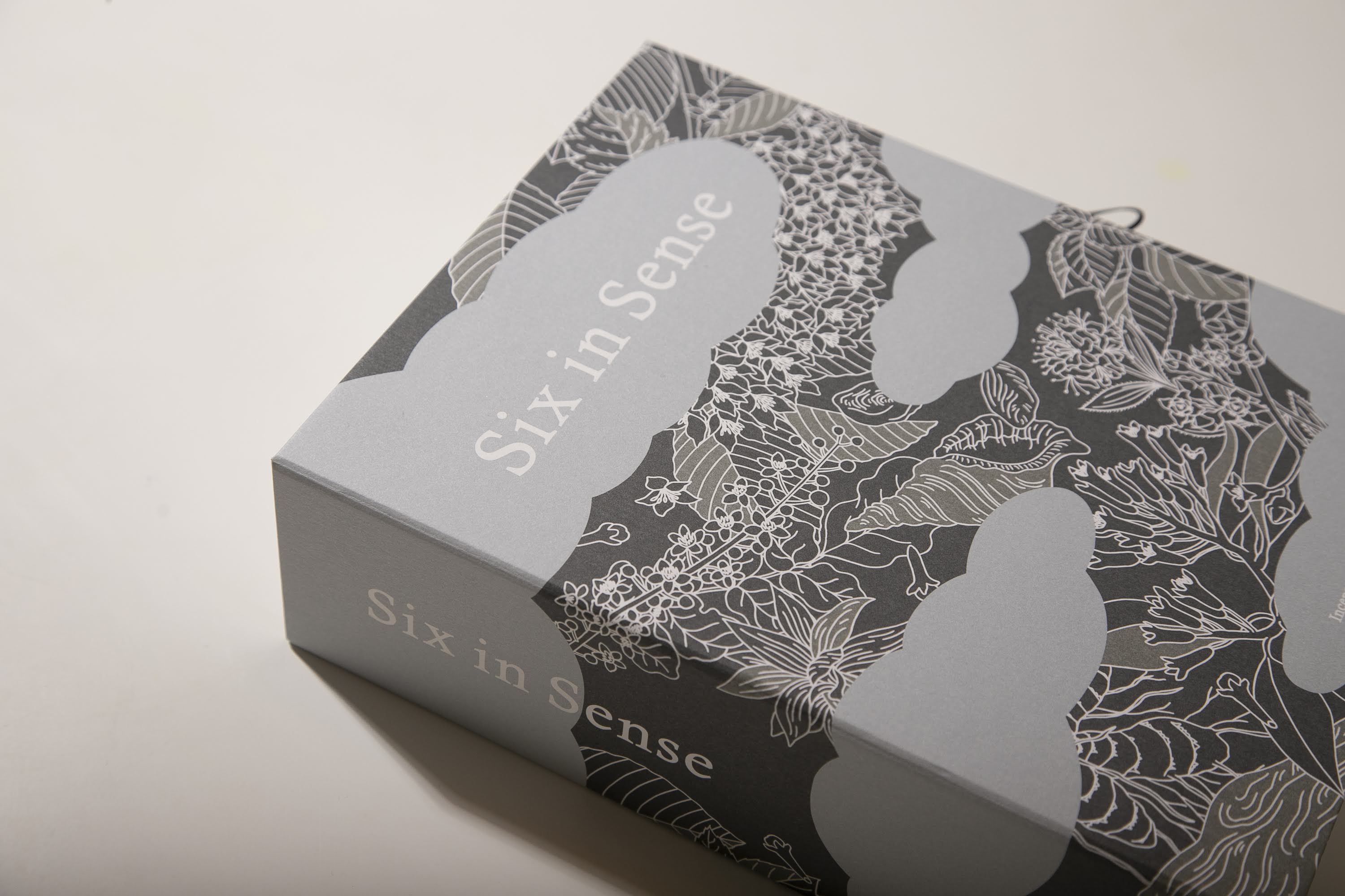 【Anniversary Box】Six in Sense