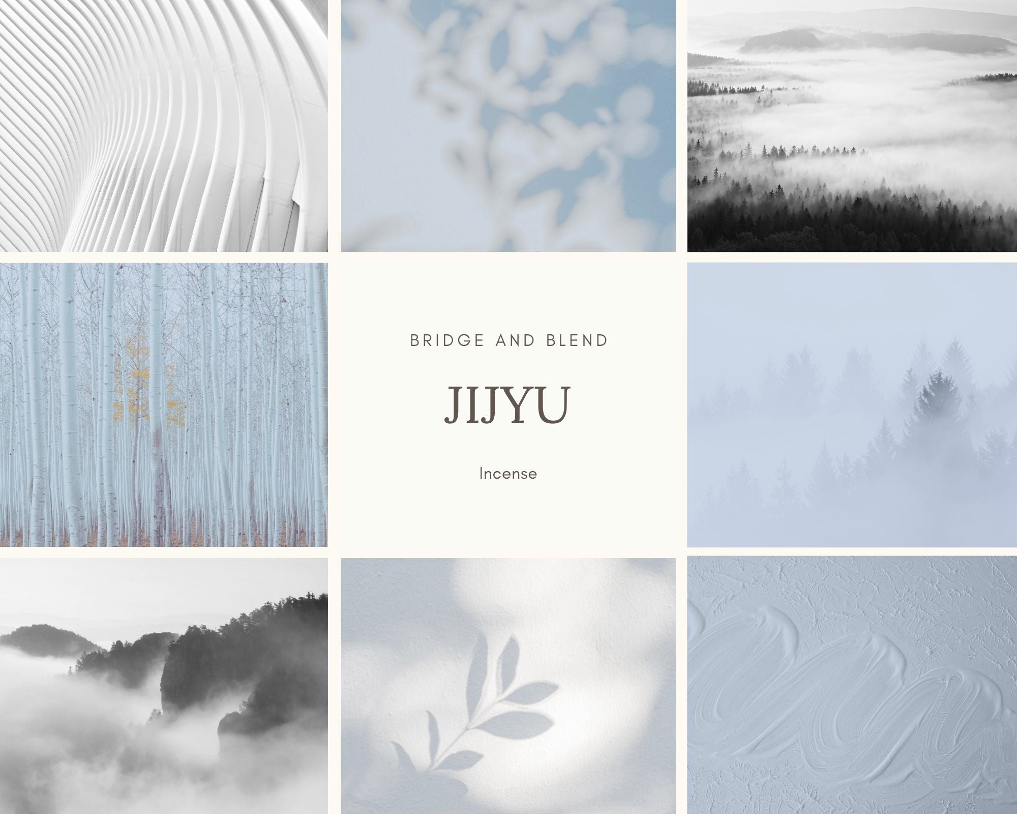 【お香】 JIJYU | 侍従（フルサイズ）コーン型 20個入り 天然 ハンドメイド