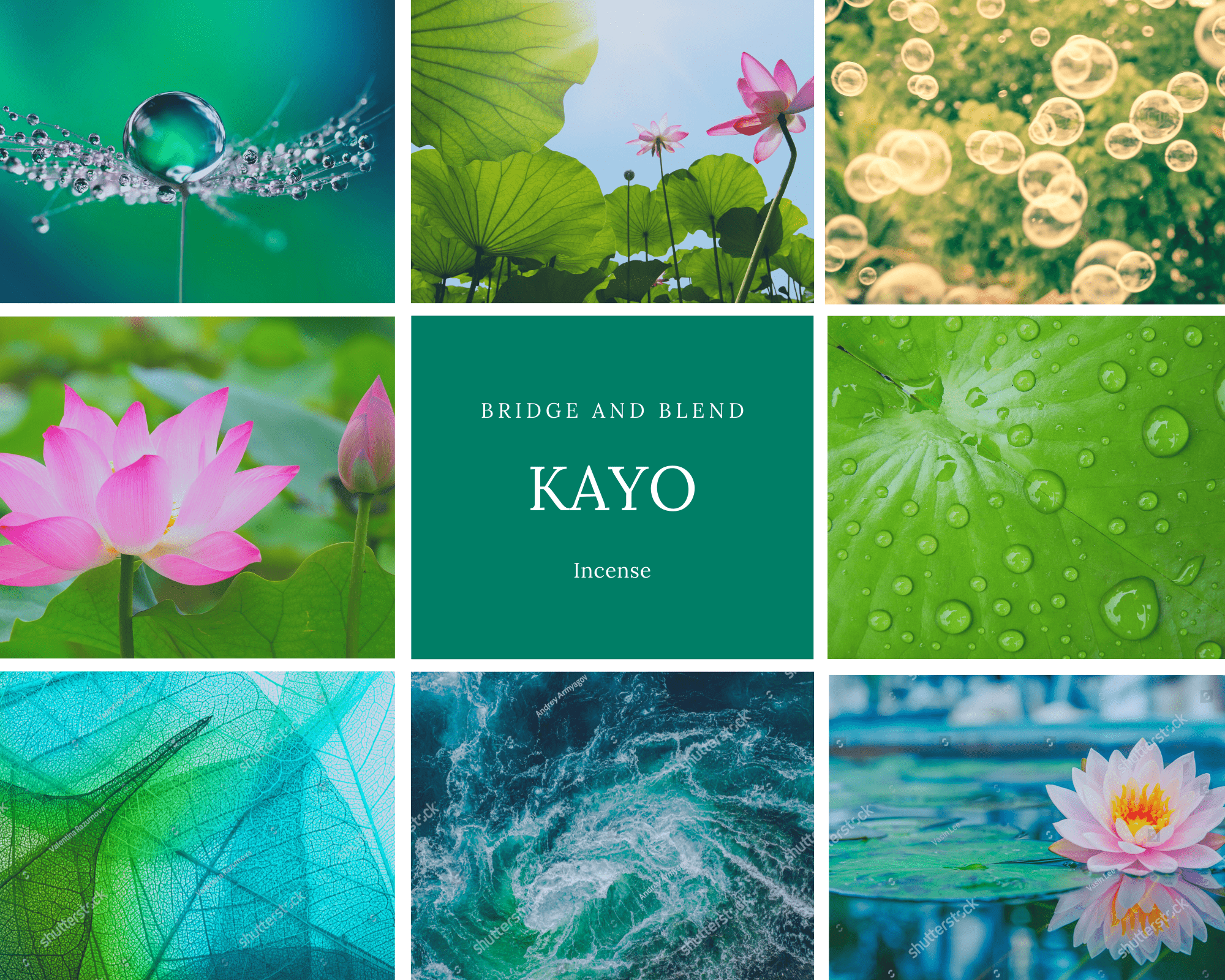[Refill] KAYO | Lotus Flower