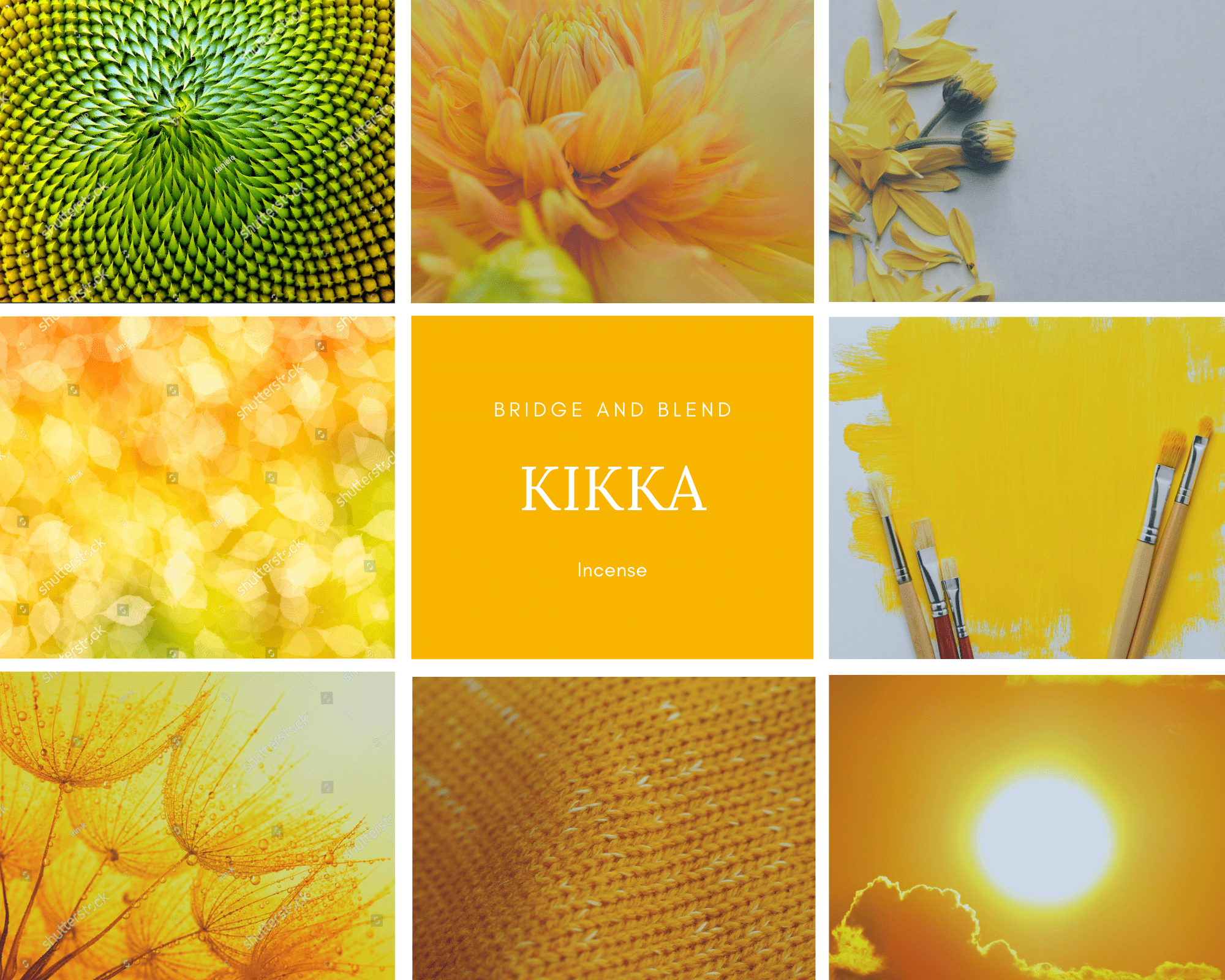 3周年記念 KIKKA | 菊花（フルサイズ）