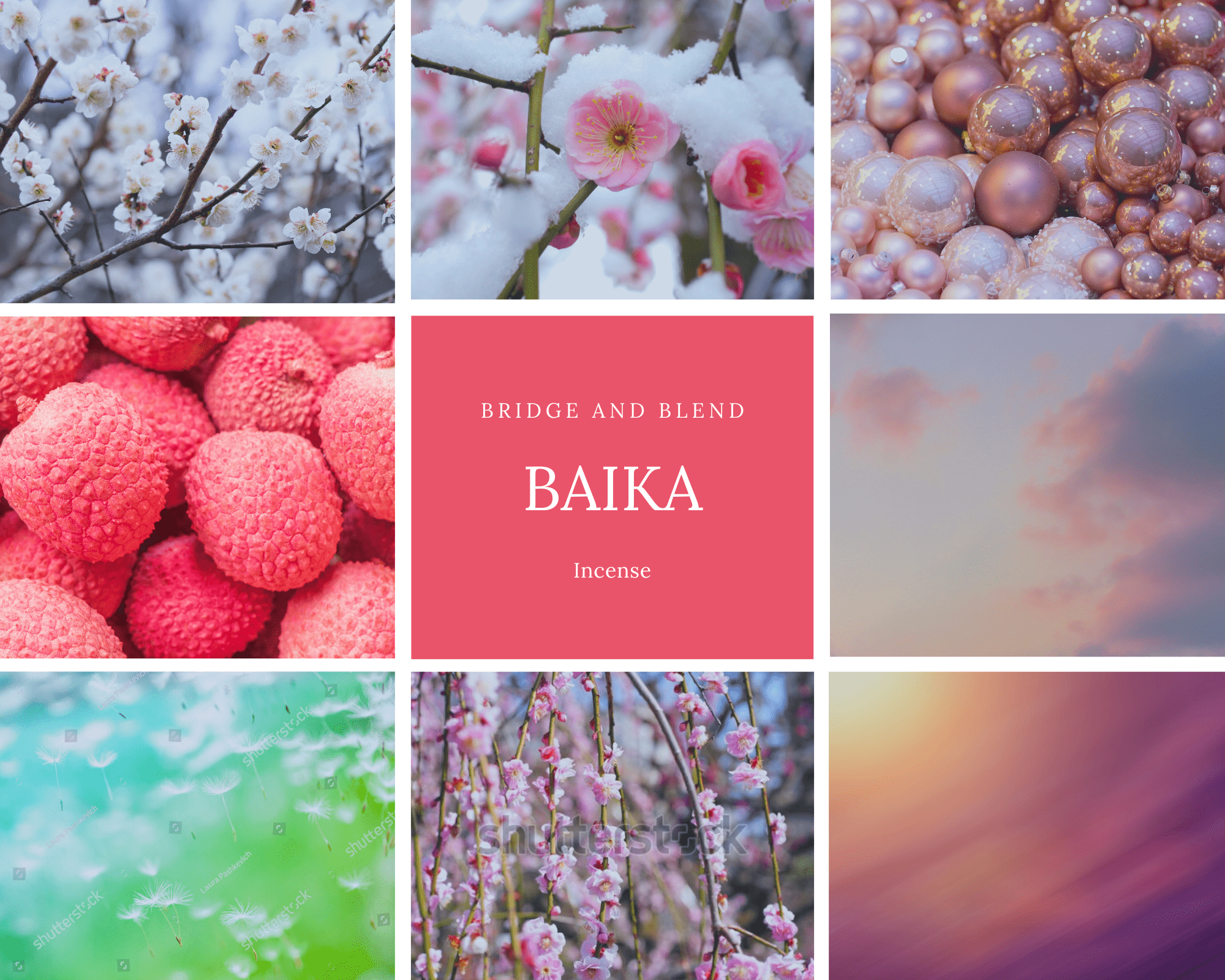 【初春を祝う香】BAIKA | 梅花　限定パッケージ