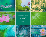 KAYO | 荷葉