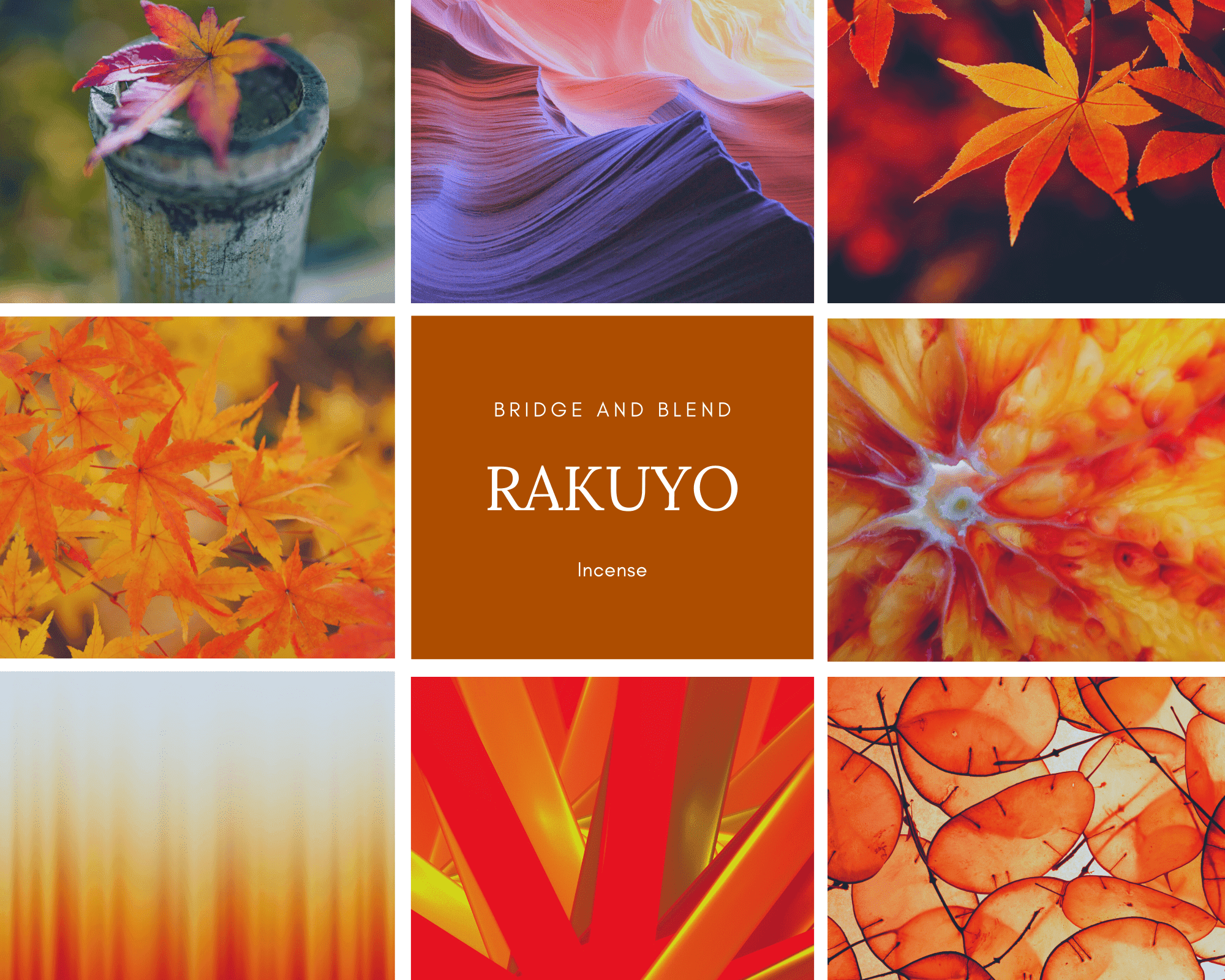 【お香】 RAKUYO | 落葉（フルサイズ）コーン型 20個入り 天然 ハンドメイド