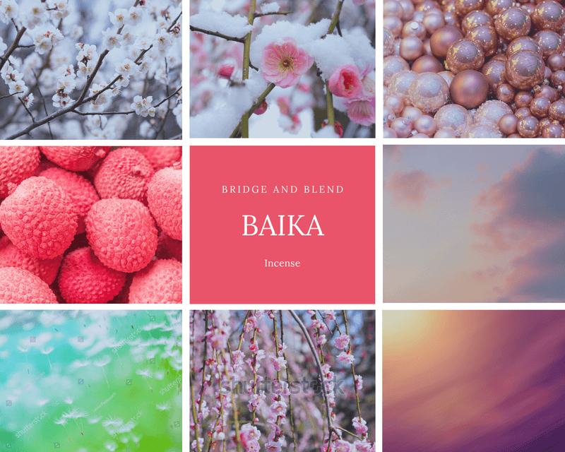 BAIKA | 梅花