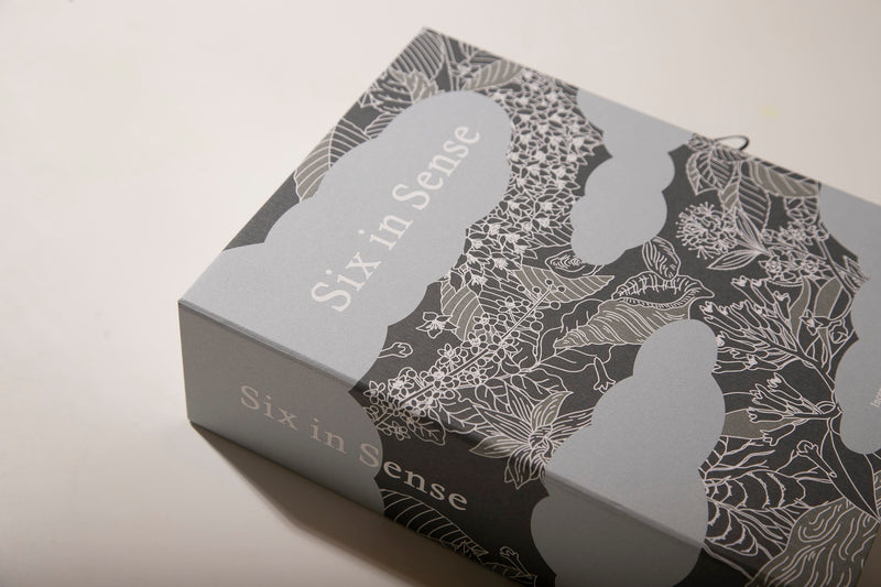 【Anniversary Box】Six in Sense